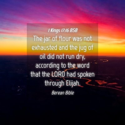 Picture 04 - 1 Kings 17:16 BSB - The jar of flour was not exhausted and the jug of - Bible Verse Picture