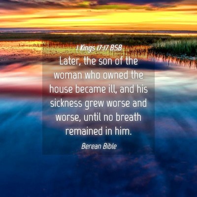 Picture 04 - 1 Kings 17:17 BSB - Later, the son of the woman who owned the house - Bible Verse Picture