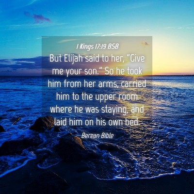 Picture 04 - 1 Kings 17:19 BSB - But Elijah said to her, “Give me your son.” - Bible Verse Picture