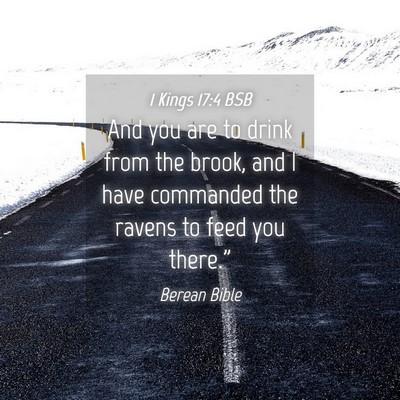 Picture 04 - 1 Kings 17:4 BSB - And you are to drink from the brook, and I have - Bible Verse Picture