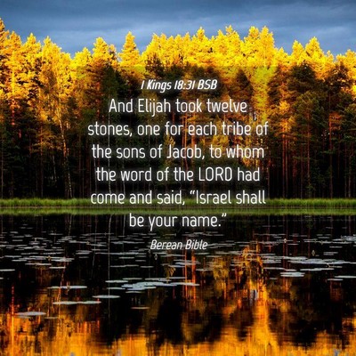 Picture 04 - 1 Kings 18:31 BSB - And Elijah took twelve stones, one for each tribe - Bible Verse Picture