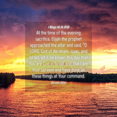 Picture 04 - 1 Kings 18:36 BSB - At the time of the evening sacrifice, Elijah the - Bible Verse Picture