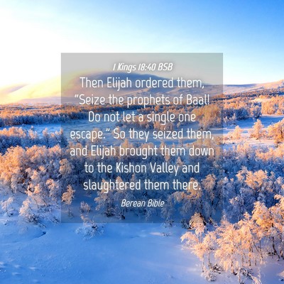 Picture 04 - 1 Kings 18:40 BSB - Then Elijah ordered them, “Seize the prophets - Bible Verse Picture