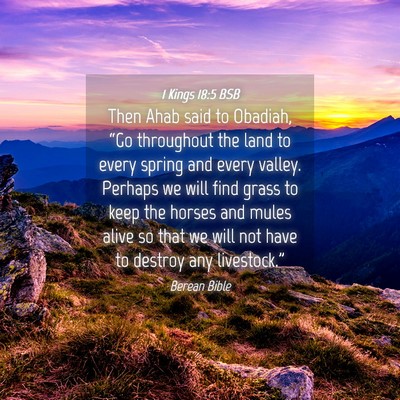 Picture 04 - 1 Kings 18:5 BSB - Then Ahab said to Obadiah, “Go throughout the - Bible Verse Picture