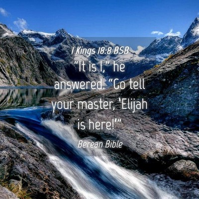 Picture 04 - 1 Kings 18:8 BSB - “It is I,” he answered. “Go tell your - Bible Verse Picture