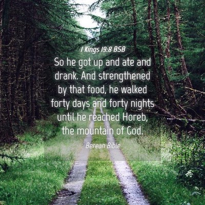 Picture 04 - 1 Kings 19:8 BSB - So he got up and ate and drank. And strengthened - Bible Verse Picture