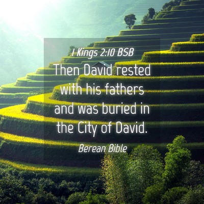 Picture 04 - 1 Kings 2:10 BSB - Then David rested with his fathers and was buried - Bible Verse Picture