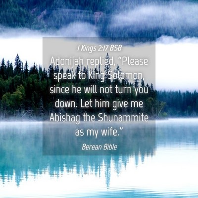 Picture 04 - 1 Kings 2:17 BSB - Adonijah replied, “Please speak to King - Bible Verse Picture
