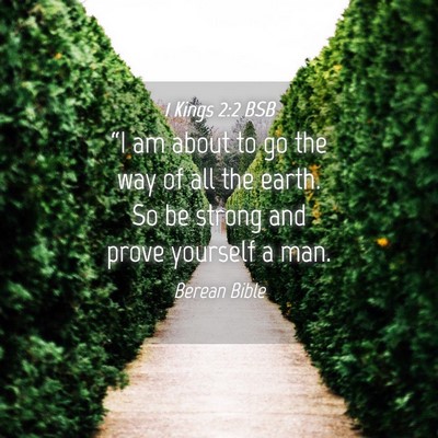 Picture 04 - 1 Kings 2:2 BSB - “I am about to go the way of all the earth. So - Bible Verse Picture