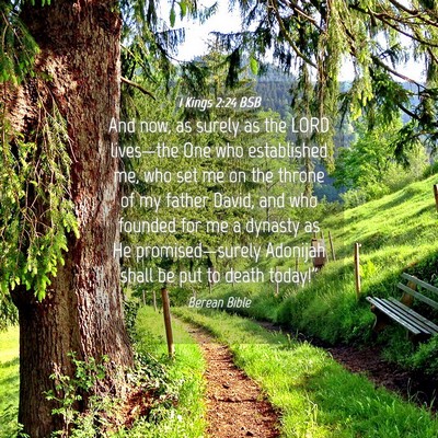 Picture 04 - 1 Kings 2:24 BSB - And now, as surely as the LORD lives—the One - Bible Verse Picture