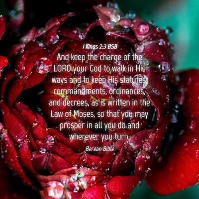 Picture 04 - 1 Kings 2:3 BSB - And keep the charge of the LORD your God to walk - Bible Verse Picture
