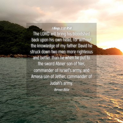Picture 04 - 1 Kings 2:32 BSB - The LORD will bring his bloodshed back upon his - Bible Verse Picture