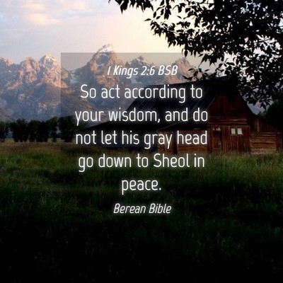 Picture 04 - 1 Kings 2:6 BSB - So act according to your wisdom, and do not let - Bible Verse Picture