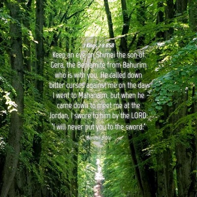 Picture 04 - 1 Kings 2:8 BSB - Keep an eye on Shimei the son of Gera, the - Bible Verse Picture