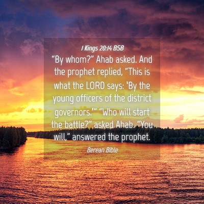 Picture 04 - 1 Kings 20:14 BSB - “By whom?” Ahab asked. And the prophet - Bible Verse Picture