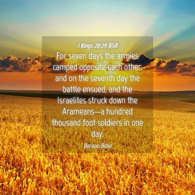 Picture 04 - 1 Kings 20:29 BSB - For seven days the armies camped opposite each - Bible Verse Picture