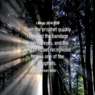 Picture 04 - 1 Kings 20:41 BSB - Then the prophet quickly removed the bandage from - Bible Verse Picture