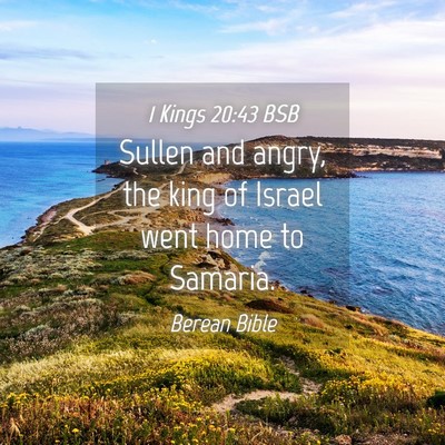 Picture 04 - 1 Kings 20:43 BSB - Sullen and angry, the king of Israel went home to - Bible Verse Picture