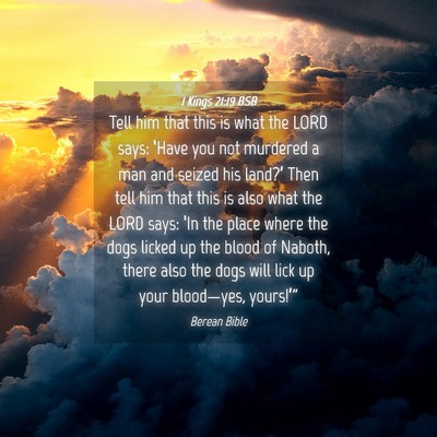 Picture 04 - 1 Kings 21:19 BSB - Tell him that this is what the LORD says: ‘Have - Bible Verse Picture