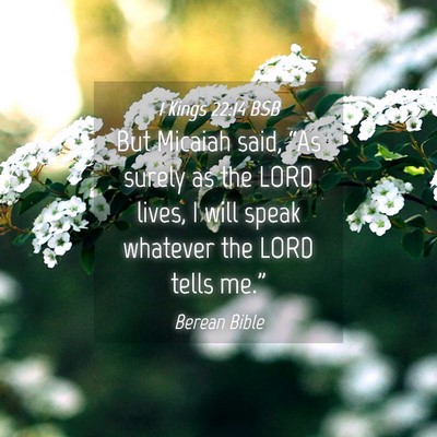 Picture 04 - 1 Kings 22:14 BSB - But Micaiah said, “As surely as the LORD lives, - Bible Verse Picture