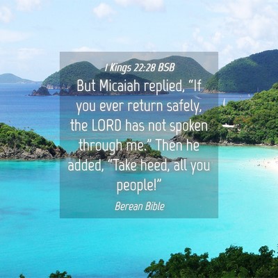 Picture 04 - 1 Kings 22:28 BSB - But Micaiah replied, “If you ever return - Bible Verse Picture