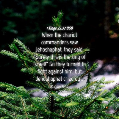 Picture 04 - 1 Kings 22:32 BSB - When the chariot commanders saw Jehoshaphat, they - Bible Verse Picture