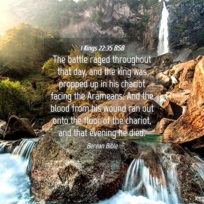 Picture 04 - 1 Kings 22:35 BSB - The battle raged throughout that day, and the - Bible Verse Picture