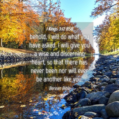 Picture 04 - 1 Kings 3:12 BSB - behold, I will do what you have asked. I will - Bible Verse Picture