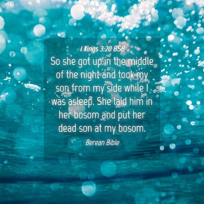 Picture 04 - 1 Kings 3:20 BSB - So she got up in the middle of the night and took - Bible Verse Picture
