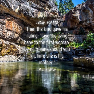 Picture 04 - 1 Kings 3:27 BSB - Then the king gave his ruling: “Give the living - Bible Verse Picture