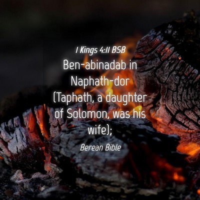 Picture 04 - 1 Kings 4:11 BSB - Ben-abinadab in Naphath-dor (Taphath, a daughter - Bible Verse Picture