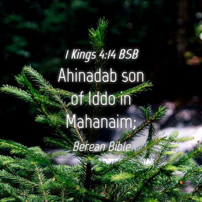 Picture 04 - 1 Kings 4:14 BSB - Ahinadab son of Iddo in - Bible Verse Picture