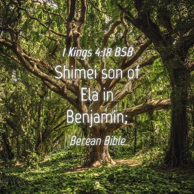 Picture 04 - 1 Kings 4:18 BSB - Shimei son of Ela in - Bible Verse Picture