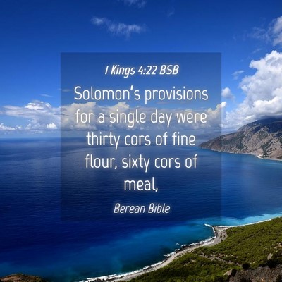 Picture 04 - 1 Kings 4:22 BSB - Solomon’s provisions for a single day were - Bible Verse Picture