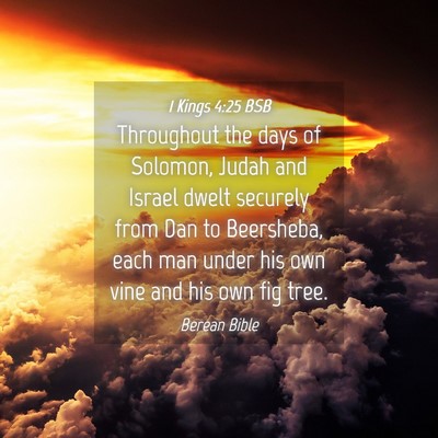Picture 04 - 1 Kings 4:25 BSB - Throughout the days of Solomon, Judah and Israel - Bible Verse Picture