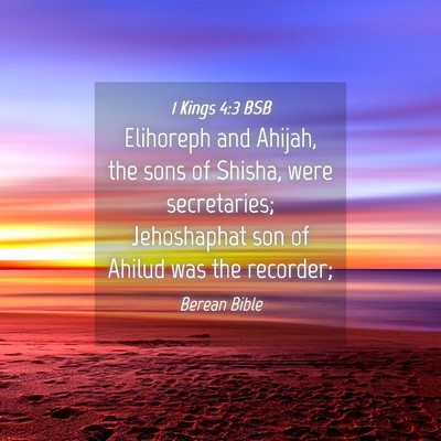 Picture 04 - 1 Kings 4:3 BSB - Elihoreph and Ahijah, the sons of Shisha, were - Bible Verse Picture