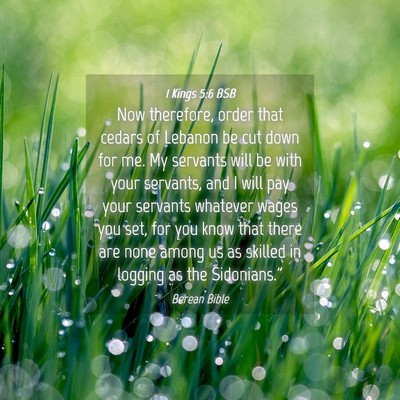 Picture 04 - 1 Kings 5:6 BSB - Now therefore, order that cedars of Lebanon be - Bible Verse Picture