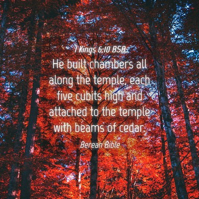 Picture 04 - 1 Kings 6:10 BSB - He built chambers all along the temple, each five - Bible Verse Picture