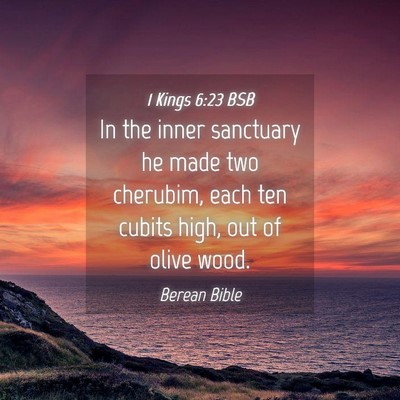 Picture 04 - 1 Kings 6:23 BSB - In the inner sanctuary he made two cherubim, each - Bible Verse Picture