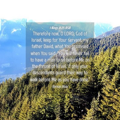 Picture 04 - 1 Kings 8:25 BSB - Therefore now, O LORD, God of Israel, keep for - Bible Verse Picture