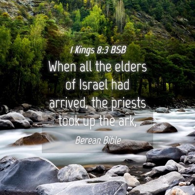 Picture 04 - 1 Kings 8:3 BSB - When all the elders of Israel had arrived, the - Bible Verse Picture
