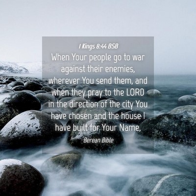 Picture 04 - 1 Kings 8:44 BSB - When Your people go to war against their enemies, - Bible Verse Picture