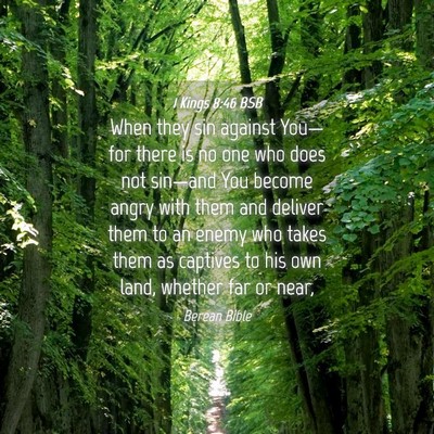 Picture 04 - 1 Kings 8:46 BSB - When they sin against You—for there is no one - Bible Verse Picture