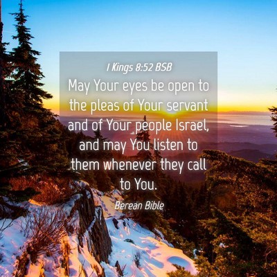 Picture 04 - 1 Kings 8:52 BSB - May Your eyes be open to the pleas of Your - Bible Verse Picture