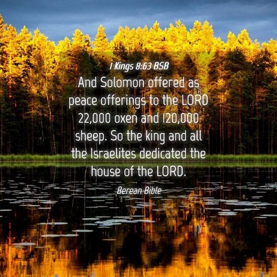 Picture 04 - 1 Kings 8:63 BSB - And Solomon offered as peace offerings to the - Bible Verse Picture