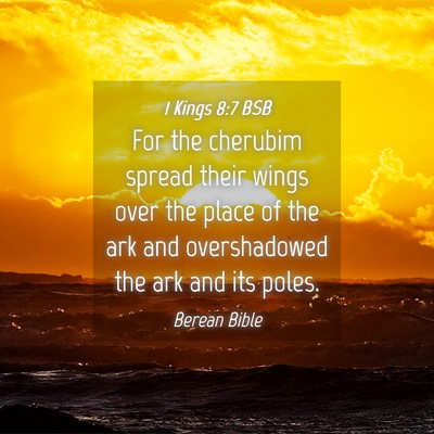 Picture 04 - 1 Kings 8:7 BSB - For the cherubim spread their wings over the - Bible Verse Picture
