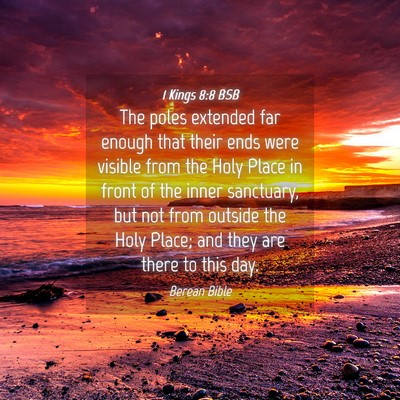 Picture 04 - 1 Kings 8:8 BSB - The poles extended far enough that their ends - Bible Verse Picture