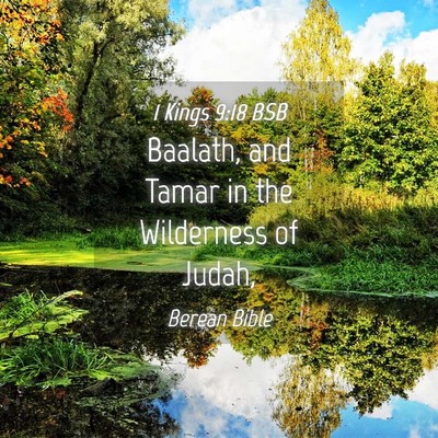 Picture 04 - 1 Kings 9:18 BSB - Baalath, and Tamar in the Wilderness of - Bible Verse Picture