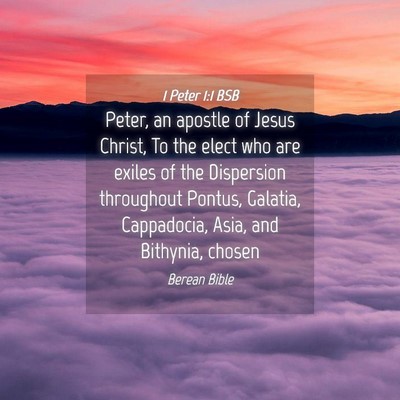 Picture 04 - 1 Peter 1:1 BSB - Peter, an apostle of Jesus Christ, To the elect - Bible Verse Picture