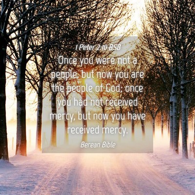 Picture 04 - 1 Peter 2:10 BSB - Once you were not a people, but now you are the - Bible Verse Picture